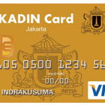 BNI Kadin Card VISA