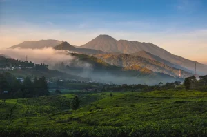 Gunung Gede Via Putri