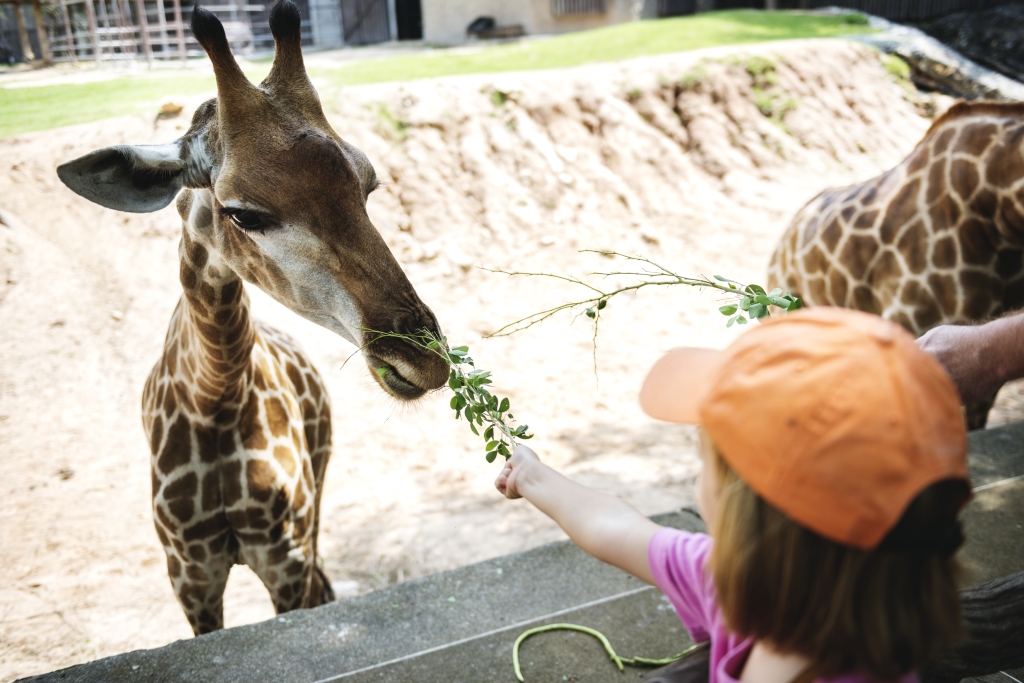 libur lebaran ke ragunan