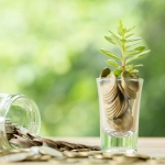 Dapat Rp500 Ribu Per Bulan dari Reksadana Pendapatan Tetap? Begini Caranya! - Tuwaga