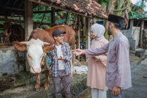 kurban online terbaik