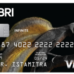 BRI Infinite VISA