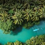 Cek Biaya Sewa Perahu di Sungai Maron Pacitan 2025 yang Lagi Hits Banget - Tuwaga