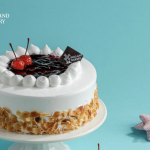 Ini Dia Harga Kue Ulang Tahun Holland Bakery yang Bikin Kamu Makin Semangat Rayain Hari Spesial! - Tuwaga