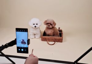 cara jadi youtuber terkenal tuwaga