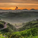 12 Mata Pencaharian di Dataran Tinggi: Jenis, Contoh, dan Potensi Keuntungannya 12 Mata Pencaharian di Dataran Tinggi: Jenis, Contoh, dan Potensi Keuntungannya - Tuwaga