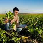 Peluang Usaha Pertanian di Desa yang Menjanjikan Peluang Usaha Pertanian di Desa yang Menjanjikan - Tuwaga