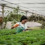 Daftar Pekerjaan dan Gaji Kerja di Australia: Lengkap untuk 2025 - Tuwaga