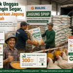 Bulog Siap Salurkan 150 Ribu Ton Jagung SPHP hingga Akhir 2026 Bulog Siap Salurkan 150 Ribu Ton Jagung SPHP hingga Akhir 2026 - Tuwaga