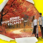 Scoot Tawarkan Diskon 15 Persen lewat KrisFlyer Spontaneous Escapes September 2026 Scoot Tawarkan Diskon 15 Persen lewat KrisFlyer Spontaneous Escapes September 2026 - Tuwaga