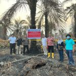 Pemerintah Segel 50 Perusahaan Terkait Kebakaran 27 Ribu Hektare Area Konsesi Pemerintah Segel 50 Perusahaan Terkait Kebakaran 27 Ribu Hektare Area Konsesi - Tuwaga
